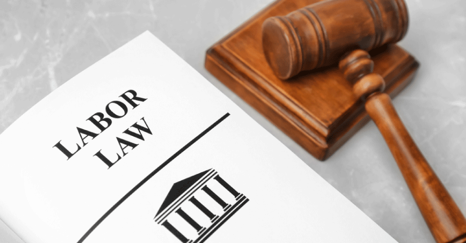 Employment Rights: What to Expect from Labor Law Lawyers