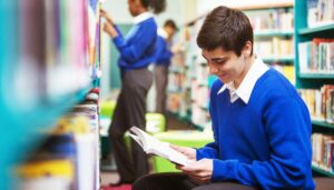 Ensuring Excellence: The Role of Rigorous Checks in Selecting Top NAPLAN Tutors
